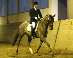 Sieger der Dressurpferdeprüfung Klasse M wurde Hausherr Rene Mencke auf Zontano (v. Zigeunerheld xx), Landeschampion der sechsjährigen Mecklenburger Dressurpferde. Foto: Jutta Wego